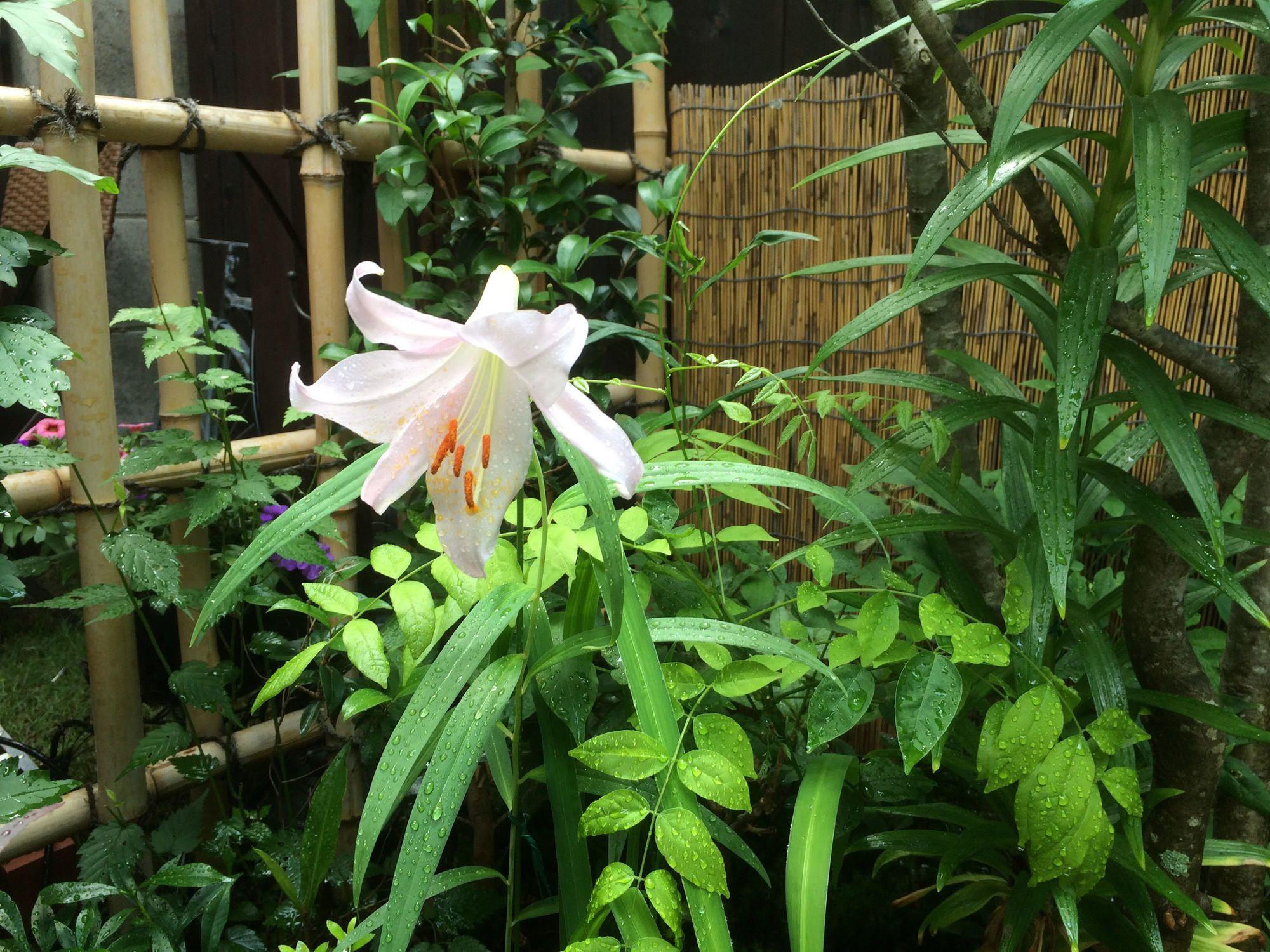 Casa de férias Nishijin No Sato 西陣之郷 -100 Yrs Smart & Sustainable Ai Arthouse With 10gbps Wifi -